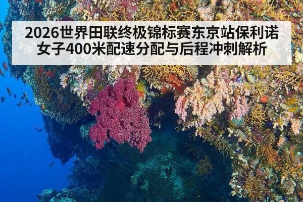 2026世界田联终极锦标赛东京站保利诺女子400米配速分配与后程冲刺解析